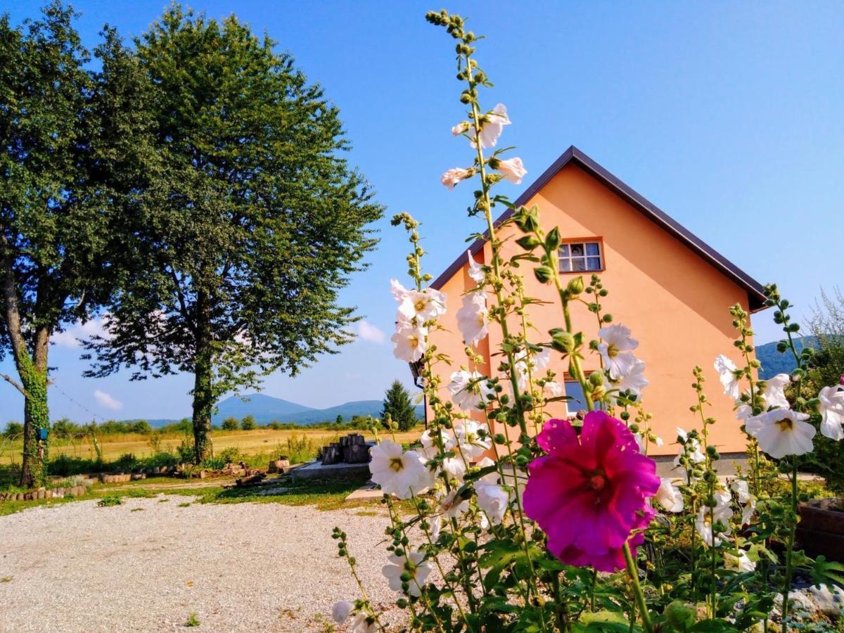 Peace Valley - Dolina Mira Janja Gora Eksteriør bilde