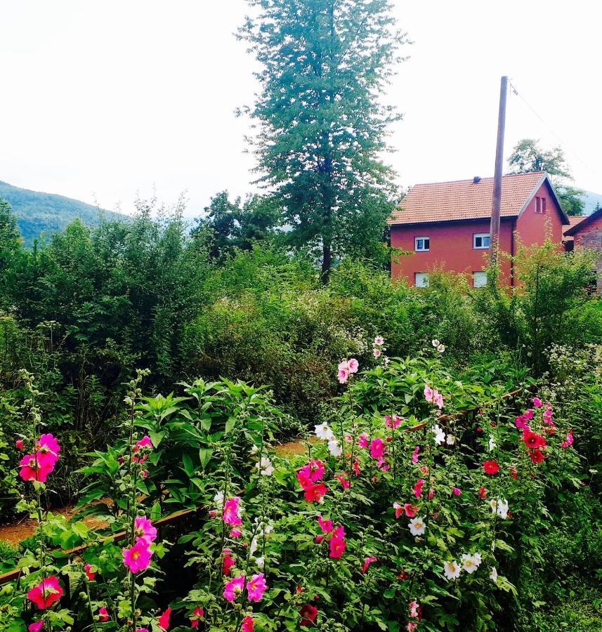 Peace Valley - Dolina Mira Janja Gora Eksteriør bilde