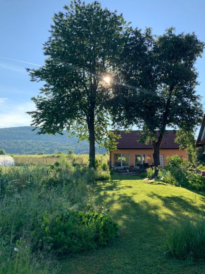 Peace Valley - Dolina Mira Janja Gora Eksteriør bilde