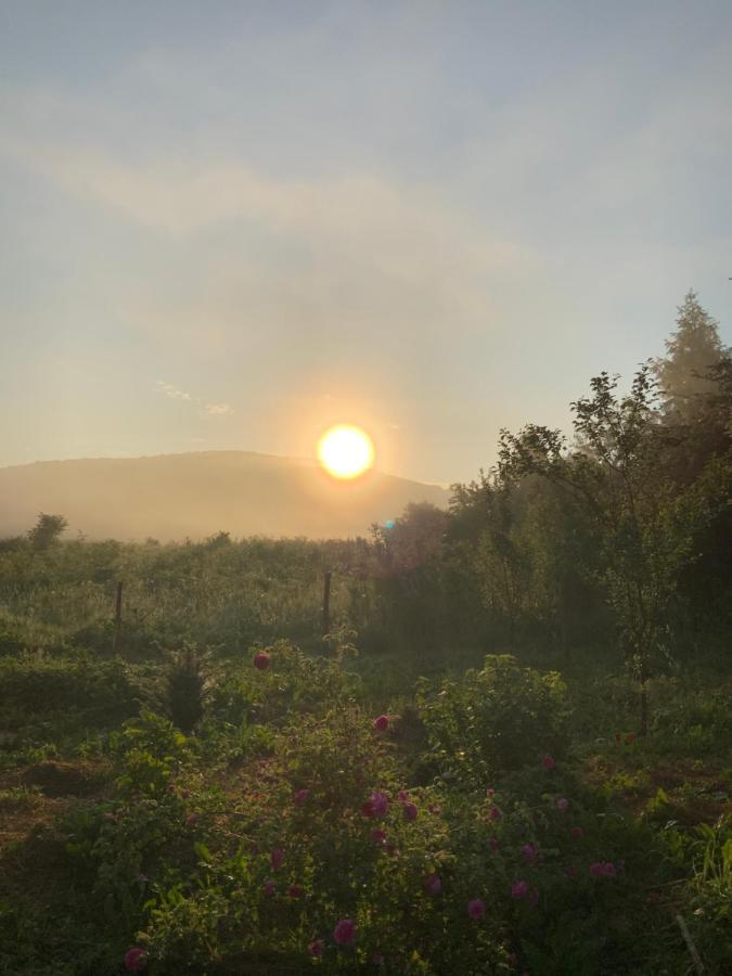Peace Valley - Dolina Mira Janja Gora Eksteriør bilde