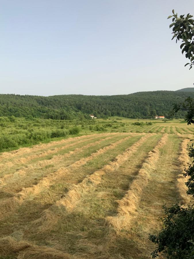 Peace Valley - Dolina Mira Janja Gora Eksteriør bilde